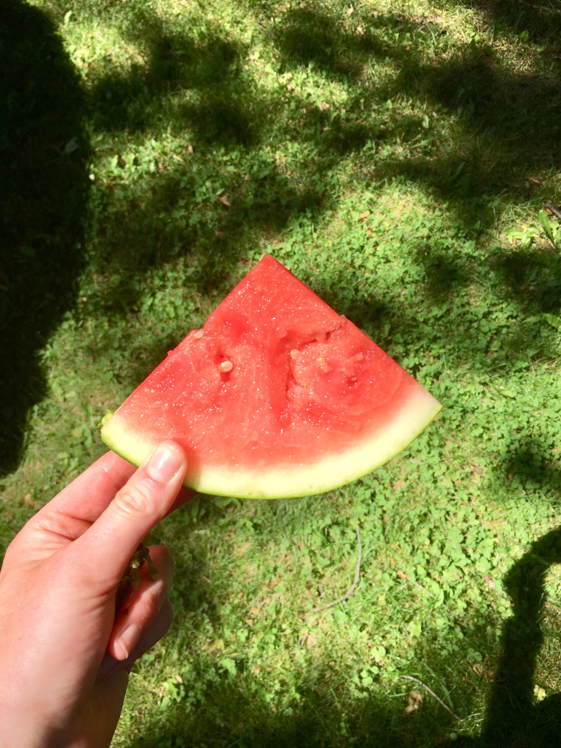 melon.jpg